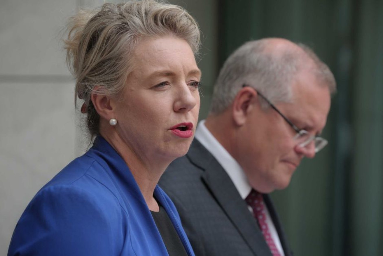 Regional Communications Minister Bridget McKenzie with Prime Minister Scott Morrison. (ABC News: Ian Cutmore)