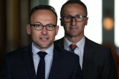 Does Adam Bandt leadership mean shoots of hope for Greens?