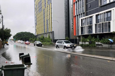 Swamped: How Brisbane floods flowed to electoral upsets across city