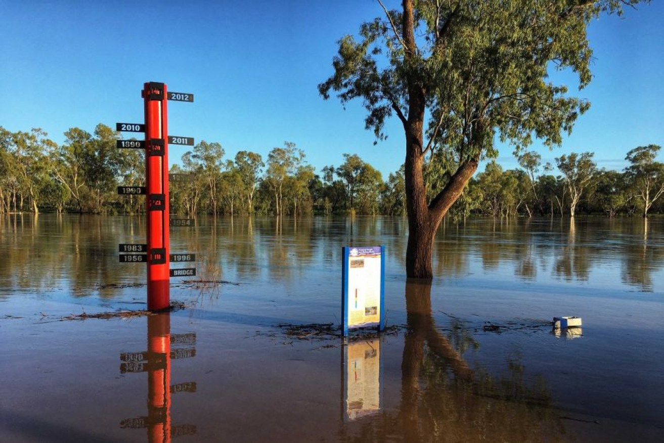 Floodwaters in St George are expected to peak on Wednesday night close to the 1950 level. (Photo: ABC Southern Queensland: Peter Gunders)