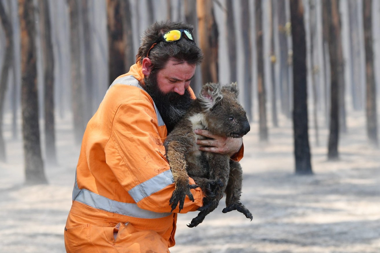 The threat of a new El Nino weather pattern could lead to more bushfires.  (Photo: David Mariuz/AAP PHOTOS)