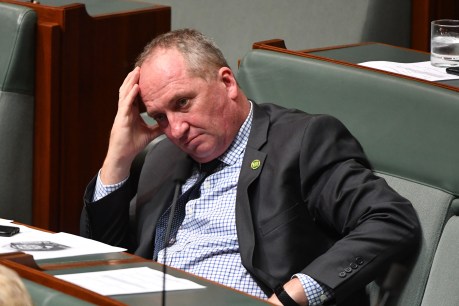 ‘Funny story’: Barnaby Joyce cops $200 fine for not wearing mask