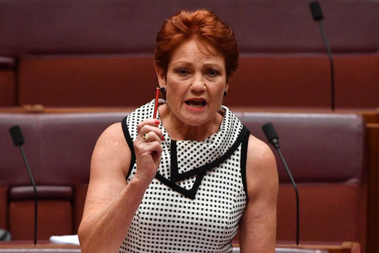 The ghost of Pauline Hanson was evident in recent Queensland local council elections. Photo: AAP Image/Mick Tsikas)
