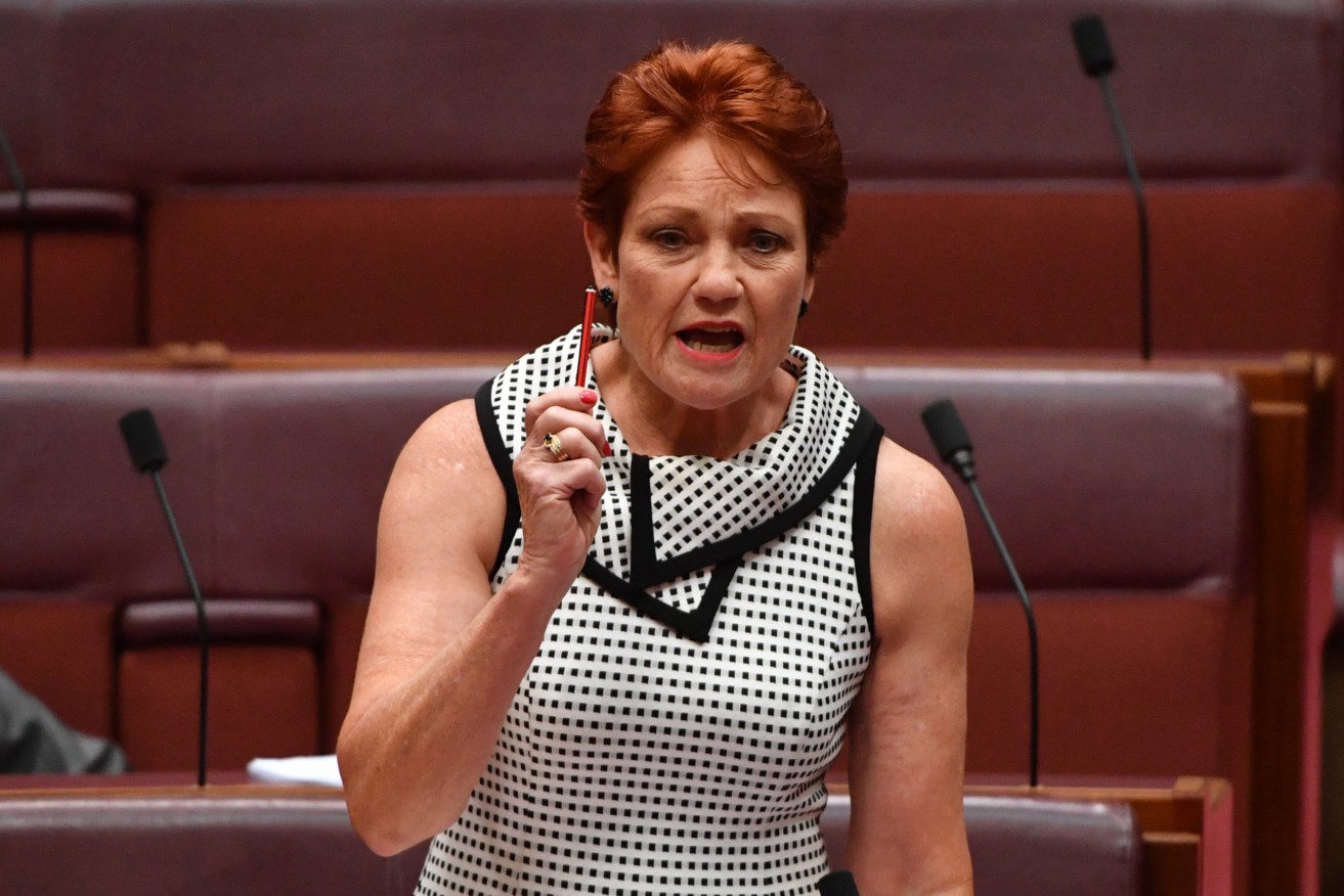 Pauline Hanson has contracted Covid-19. Photo: AAP Image/Mick Tsikas)