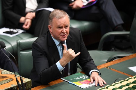 Albo says pandemic has given ‘rare opportunity’ for nation-building