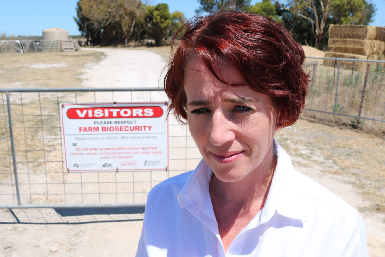 Australian Pork Ltd CEO Margo Andrae remains cautiously optimistic that African swine fever will be stopped at Australian borders. Photo: (supplied APL)