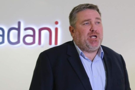 Adani CEO quits with mine still a year away and legal battles to come