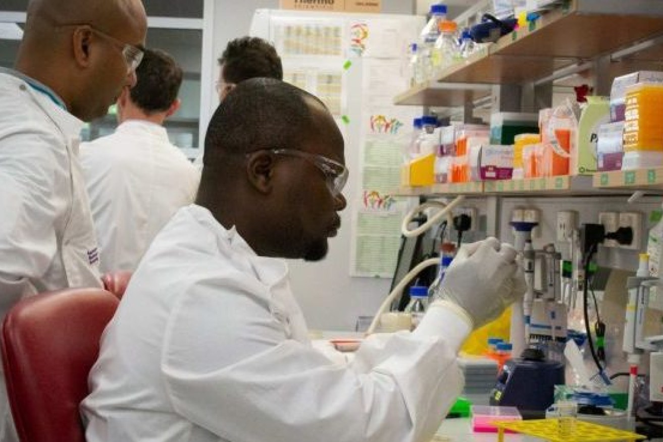 UQ researchers conduct experiments to design a coronavirus vaccine. Photo: ABC