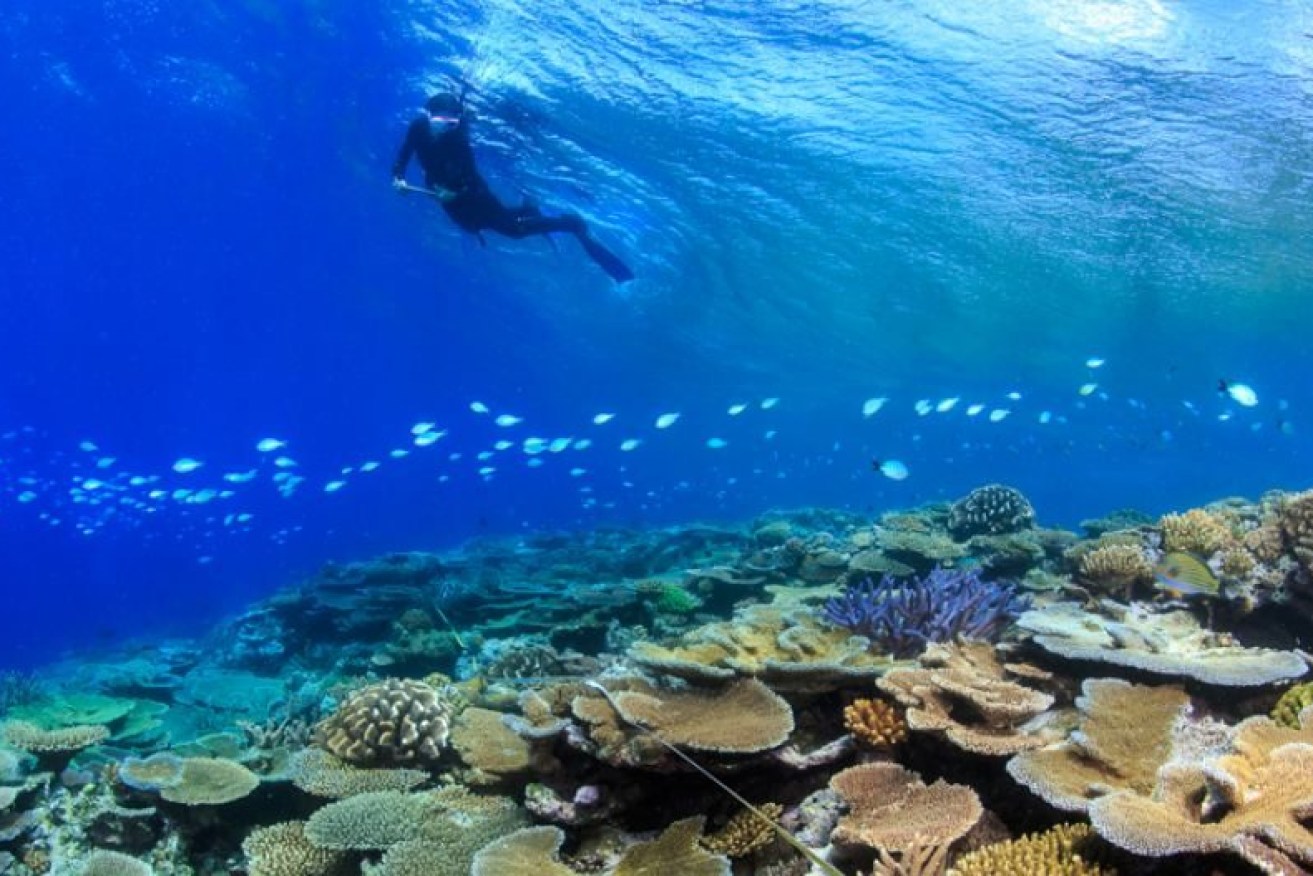 $200 million would be spent from the Budget on protecting the reef