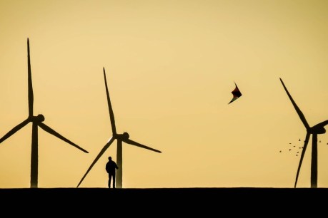 Winds of change: Labor to fund massive wind farm on eve of energy deal reveal