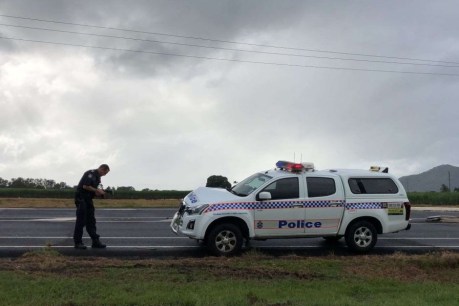 Queensland police shoot man dead after 12-hour Cairns siege