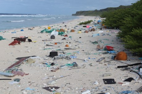Scientists solve mystery of missing ocean plastic