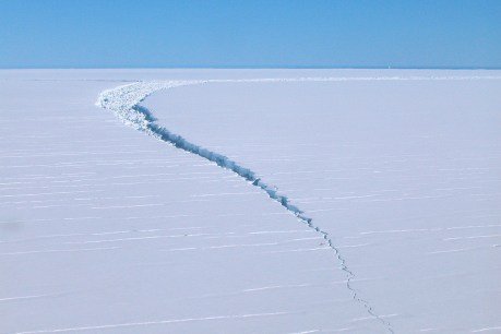 Not cool: Antarctica records its first-ever ‘heatwave’ event