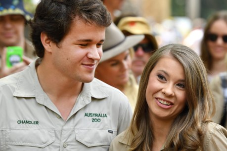 Bindi Irwin races to the altar, then shuts down Australia Zoo