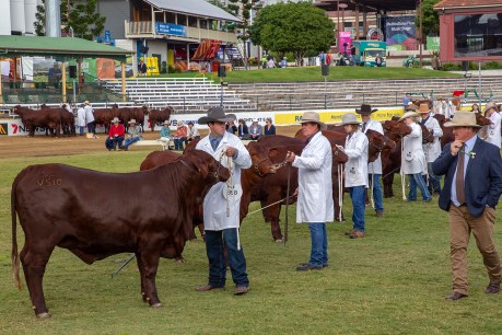 Can the show go on? Ekka edges closer to third closure in 144 years