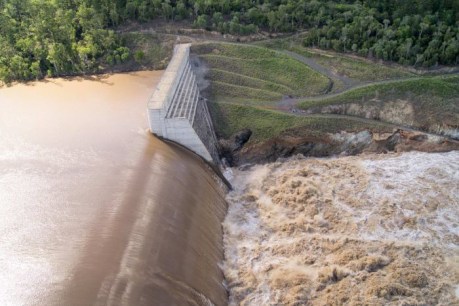 Cracks starting to appear in dam safety argument
