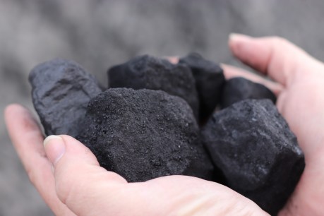 Environment v economy – pressure builds over billions in coal projects