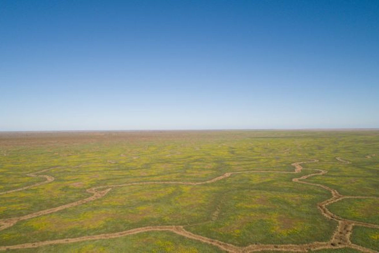The region's rivers and floodplains sit over the Great Artesian Basin. Photo: ABC