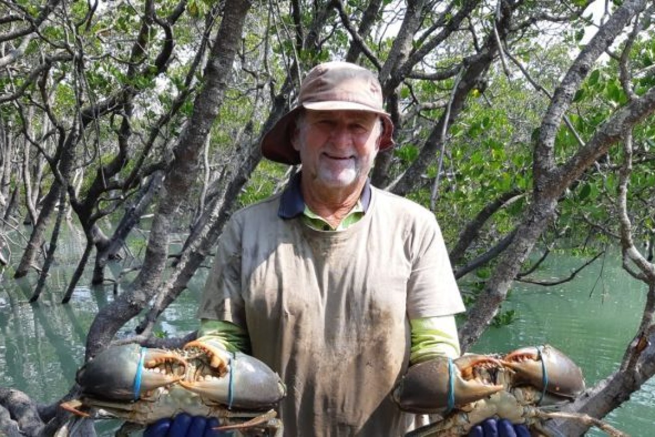 Commercial crabber Greg Sichter may be forced to stop fishing if freight options can't be guaranteed. Photo: ABC