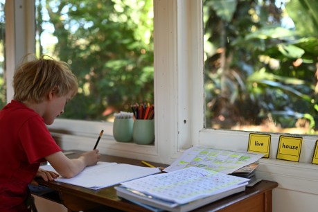 All-night fix and an apology – now fingers crossed for home schooling day two