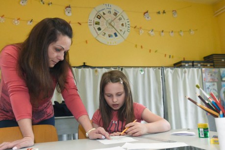 Schools are adapting but childcare, family day care and kindy still face challenges