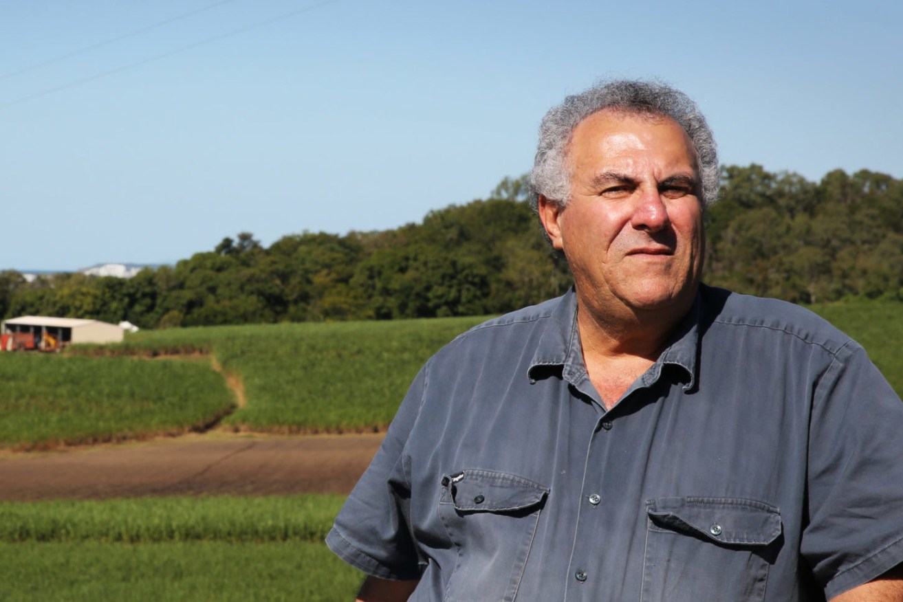 Canegrowers chairman Paul Schembri, pictured on his Mackay farm, is furious at moves by AgForce to raid his membership base.