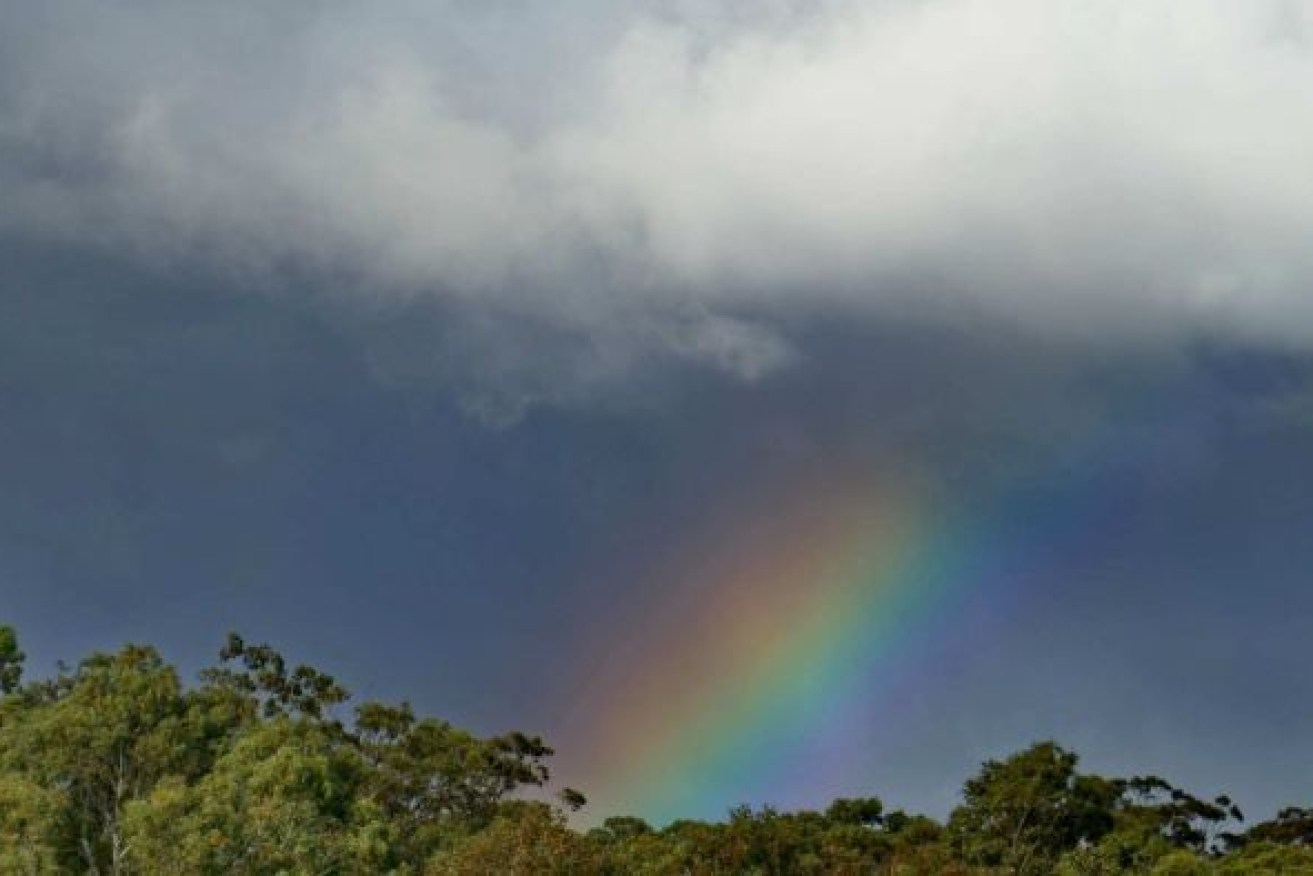 Widespread rainfall graced the nation's southeast last week, including in Broadford, Victoria, on Saturday. Photo: ABC