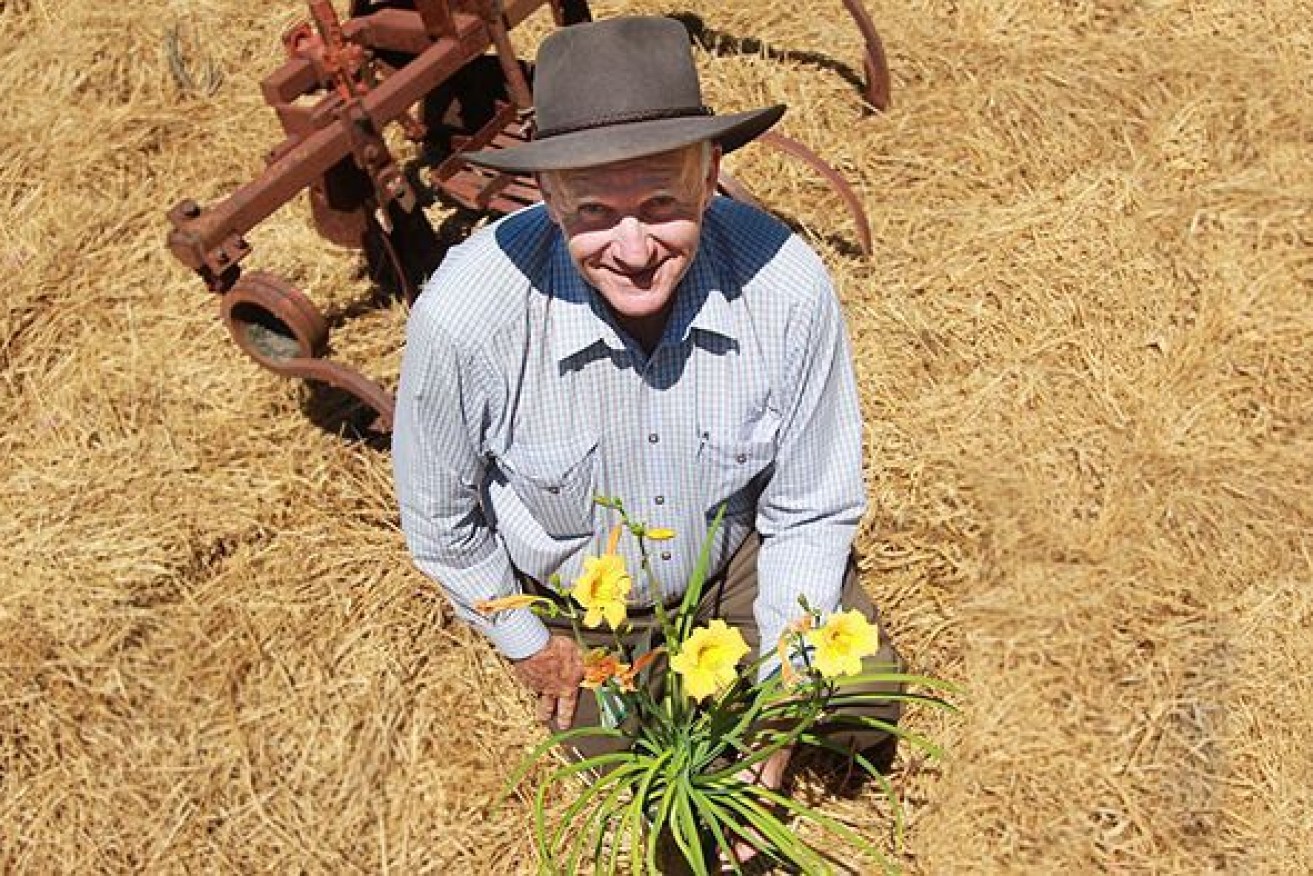 Gardening guru Tom Wyatt says good gardeners aren't born, they're made. Photo: ABC