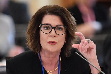 Palaszczuk’s former ‘right-hand-woman’ accepts unpaid role to lead homeless review