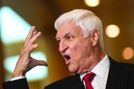 Katter campaigns for virus-free north to win major projects