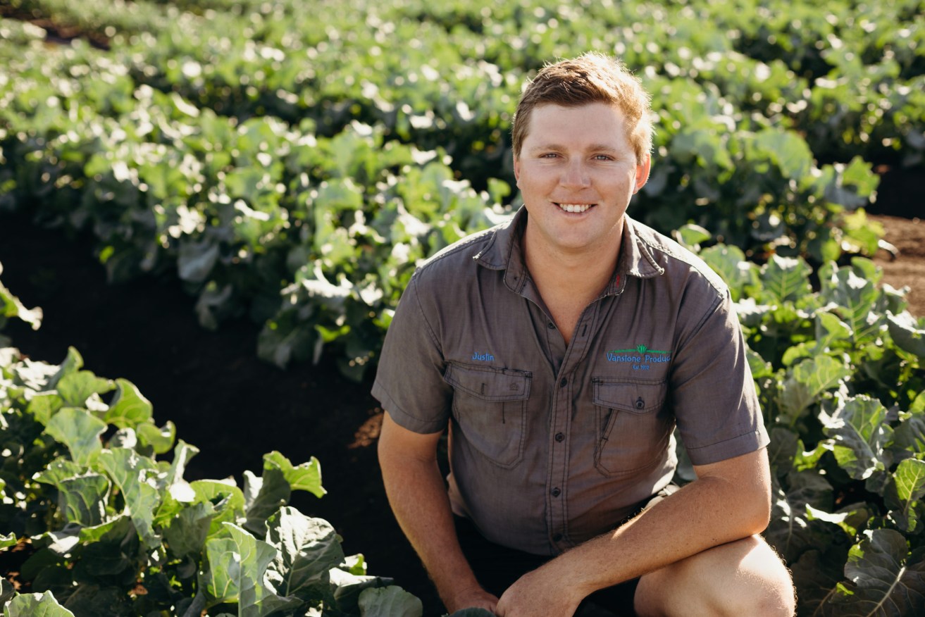 Vanstone Produce managing director Justin Vanstone on his family farm near Gatton. (Photo: Ausveg)