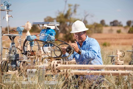 Plibersek quietly gives Santos green light to drill 116 new Queensland gas wells