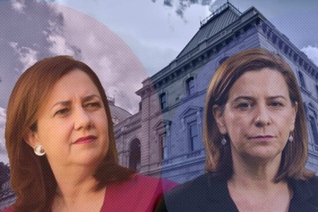 With Trad out of the way, the choice facing Queenslanders becomes more clear