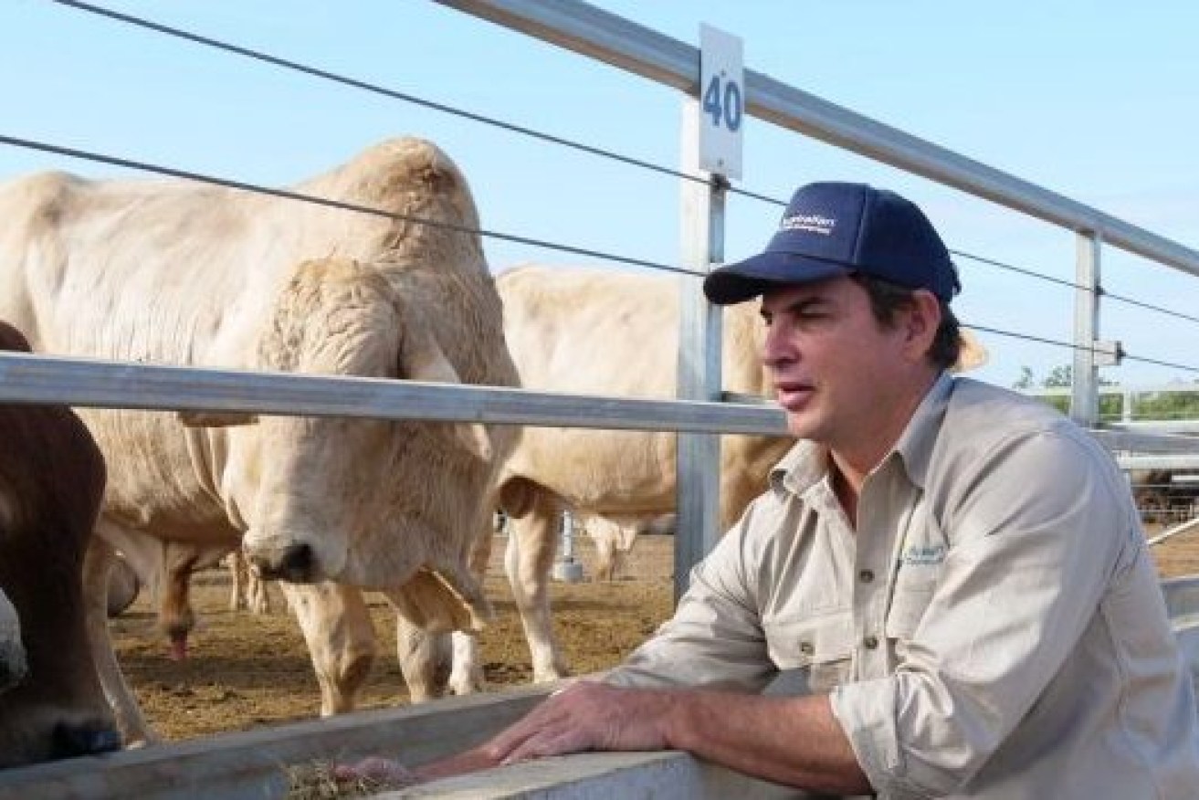Australian beef producers have been blindsided by Chinese trade tactics. (Photo: ABC)