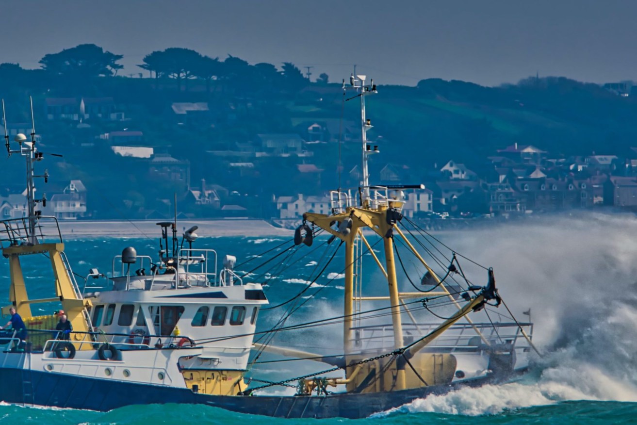Emergency services are searching from a trawler fisherman lost overboard off the Sunshine Coast (Lawrence Hookham, Unsplash).