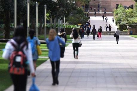 Chinese students say Aussie travel warnings ‘have gone too far’