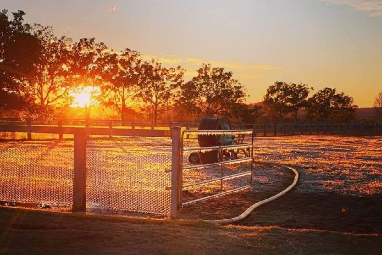 Residents in Toowoomba in Queensland's Darling Downs saw temperatures drop to 7 degrees Celsius.(Tiana Morriss)