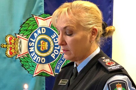 Police chief fears new wave of domestic violence as isolation ends