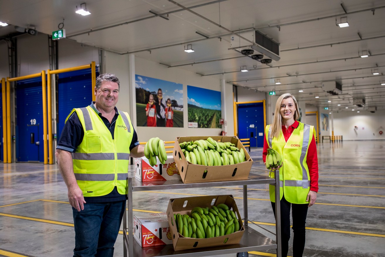 Mackays Marketing's Jason Bovris and Megan Hodza, of Coles inspect the new ripening centre in Melbourne.