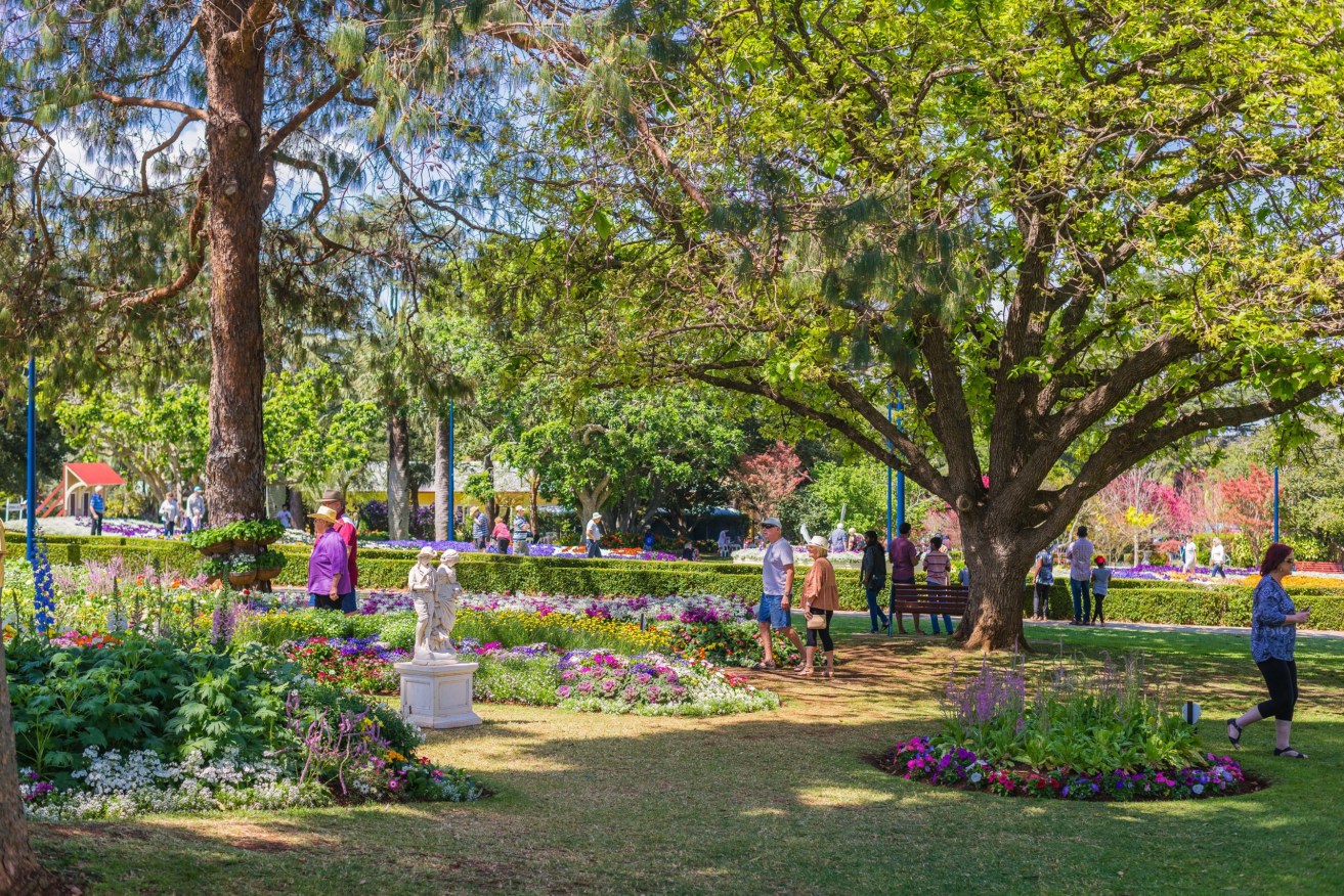 The blooms at Toowoomba's Queens Park will be a highlight of the Carnival of Flowers. (Photo: Supplied)