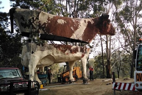 Holy cow! Former tourist icon gets new lease of life on Darling Downs