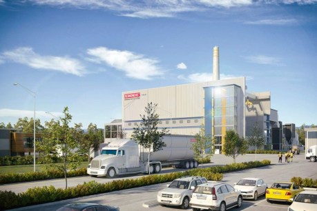 Burning issue: Ipswich residents say waste incinerator will just encourage more waste
