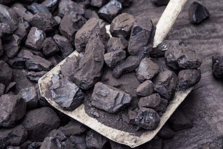 AQC suspends trade over Dartbrook coal mine
