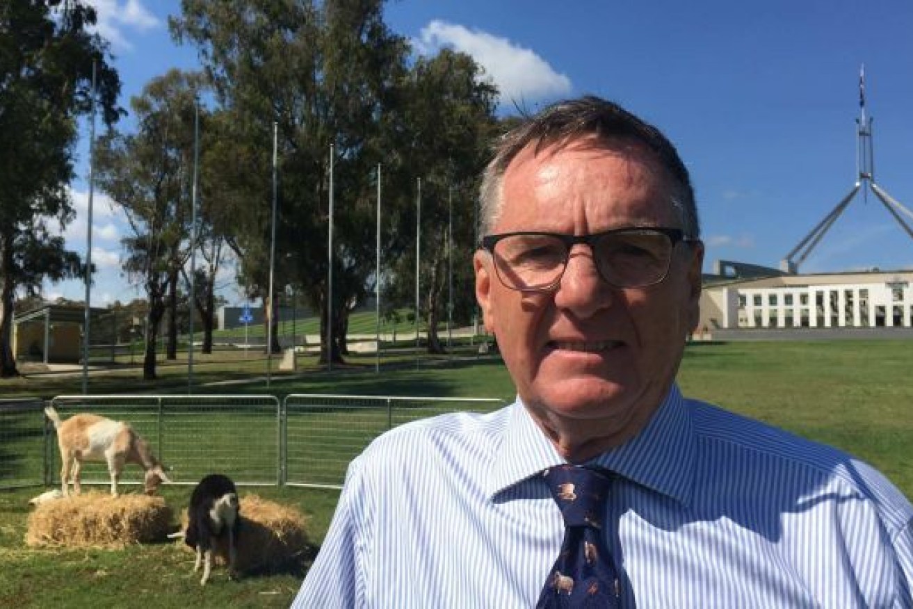 Peter Holding is a mixed farmer from Harden, NSW, and member of Farmers for Climate Action. (Photo: ABC)