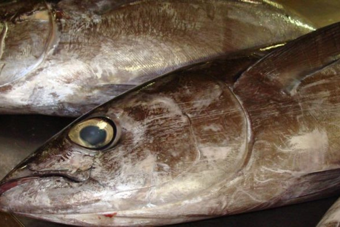 Seafood diners currently have no way of knowing where their food comes from. Photo: ABC