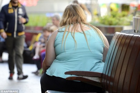 Toowoomba calls in the heavy hitters to tackle obesity problem