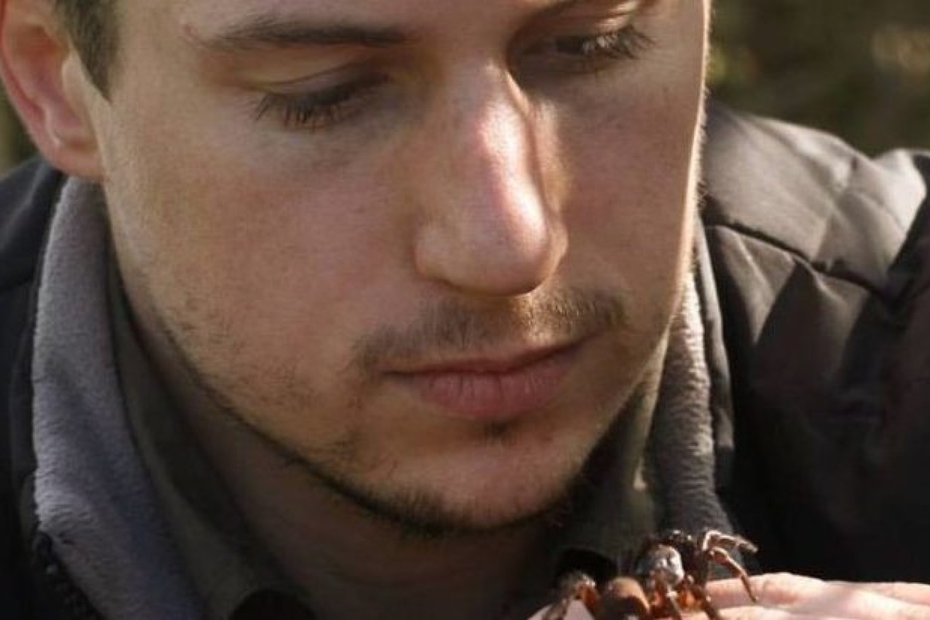 Dr Jeremy Wilson of Griffith University with the new trapdoor spider. (Photo: Eamon Amsters)