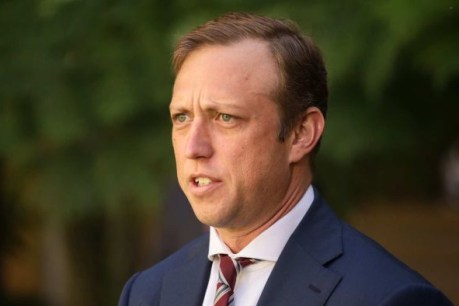Queenslanders ‘comfortable’ with lobbyists, says acting Premier