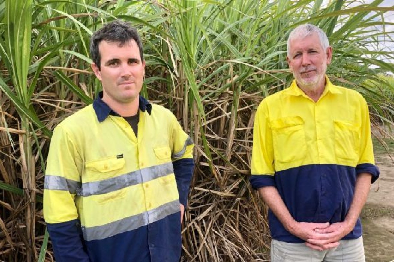 Paul and Garry Petersen are concerned what this land deal will mean for the future of the local sugar industry. (Photo: ABC)
