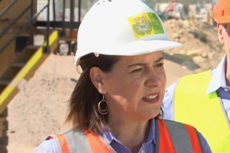 Frecklington: Time to get Queensland working again